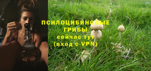 МДПВ Верхний Тагил