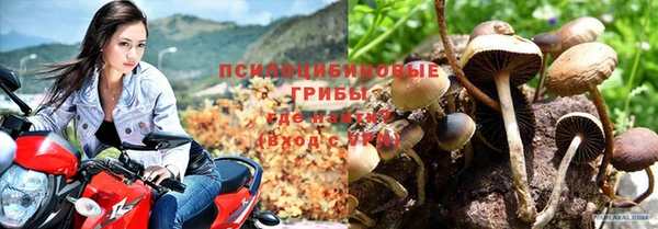 mdpv Бородино