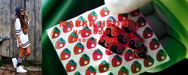 mdpv Бородино