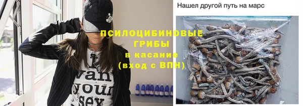 меф Богородицк