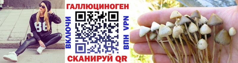 Псилоцибиновые грибы мицелий  Дудинка 